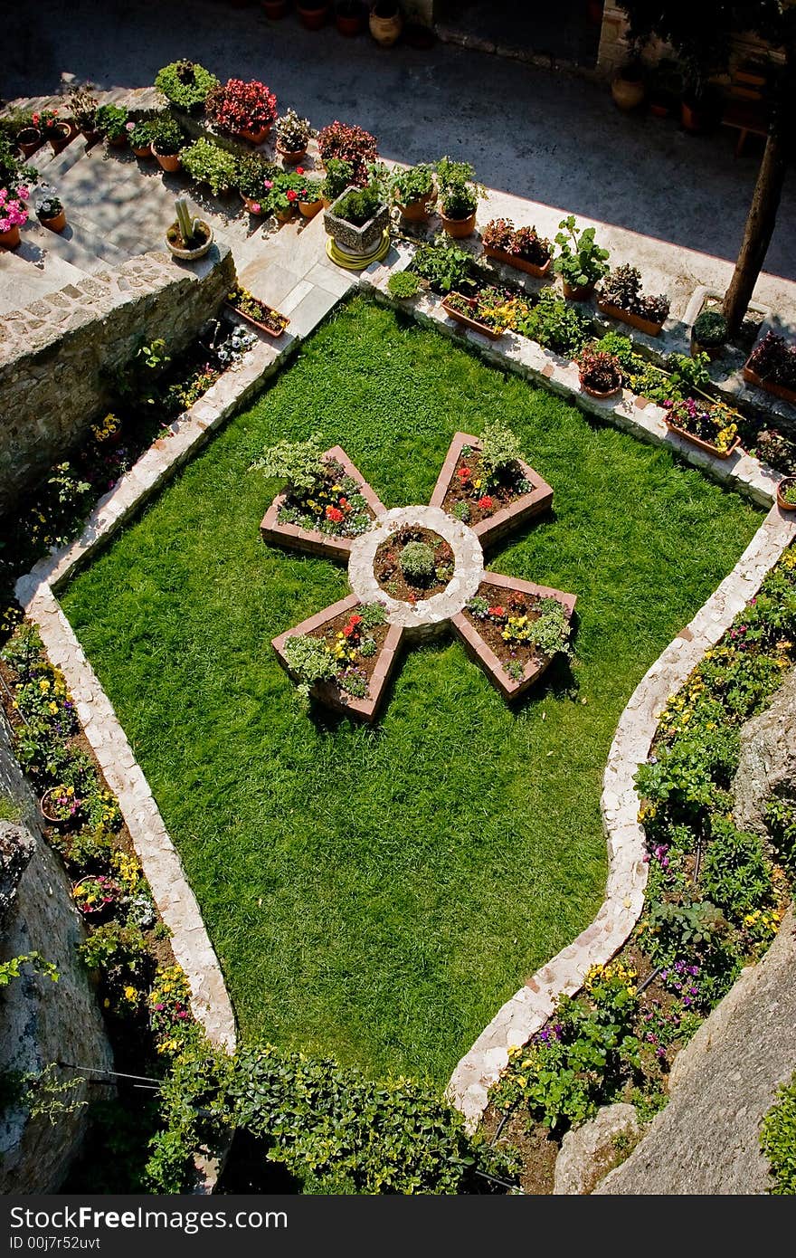 Garden, grass and flowers