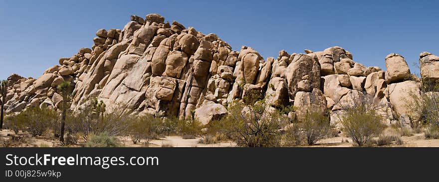 Joshua Tree Desert