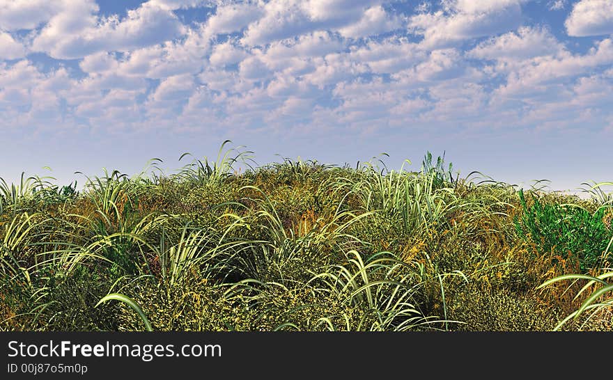 Green grass and blue sky - digital artwork