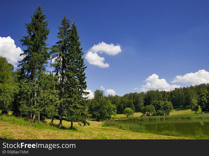 Landscape With Trees And Pond