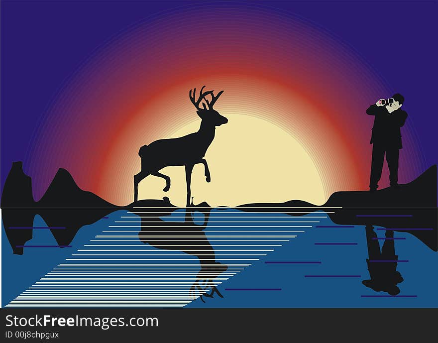 Deer and photographer