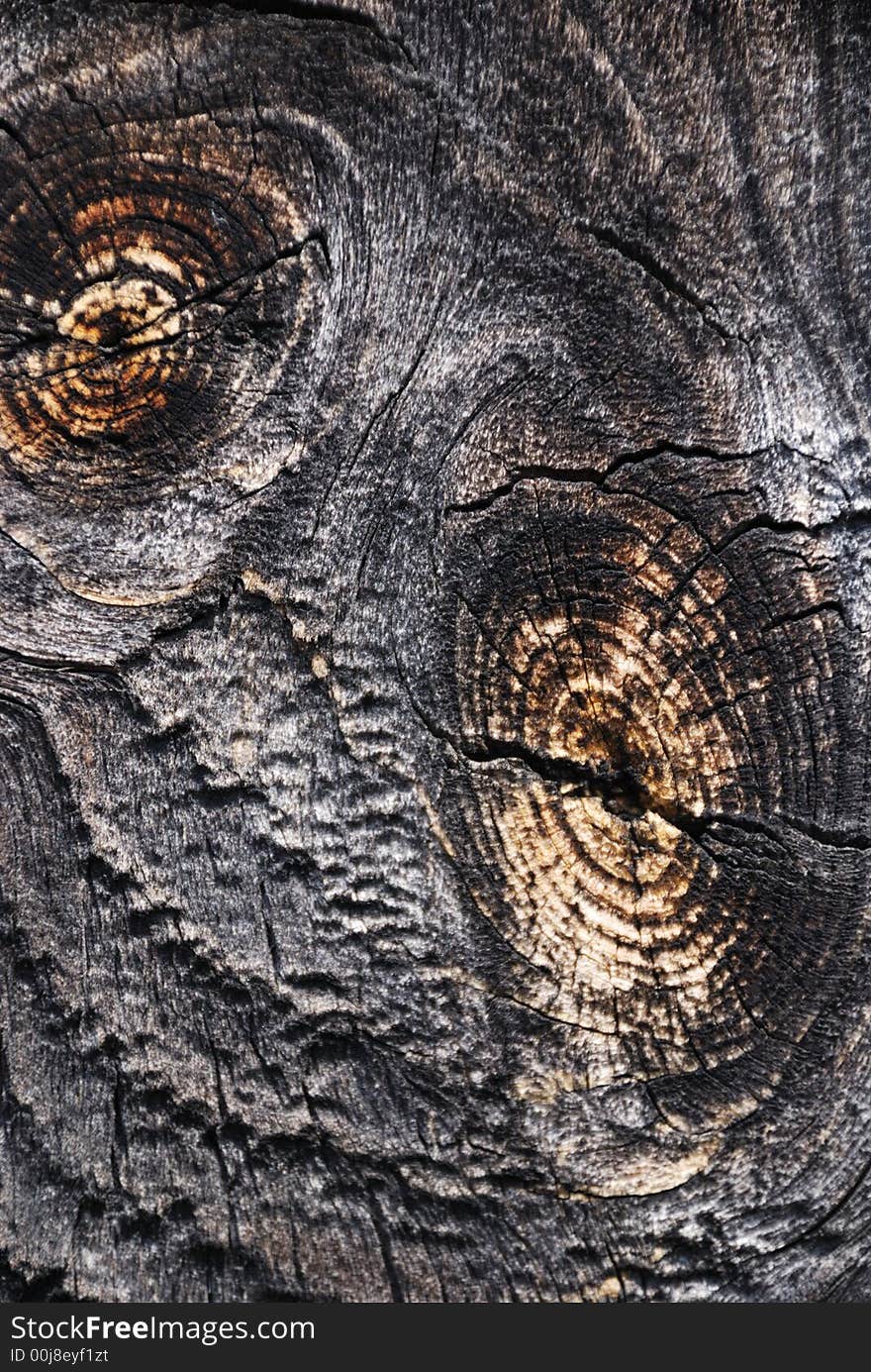 Structure of a striped tree. Structure of a striped tree