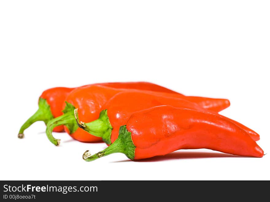 Red Hot Jalapeno Pepper