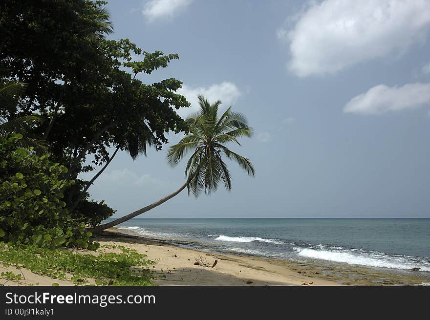 Tropical Beach 1