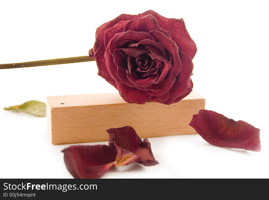 Old rose laying on wood