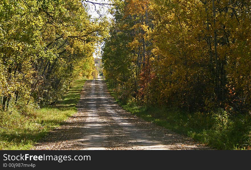 Country Road