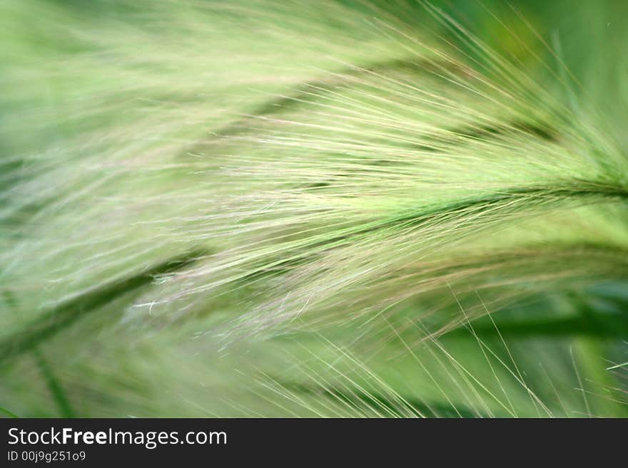 Straws with the green background