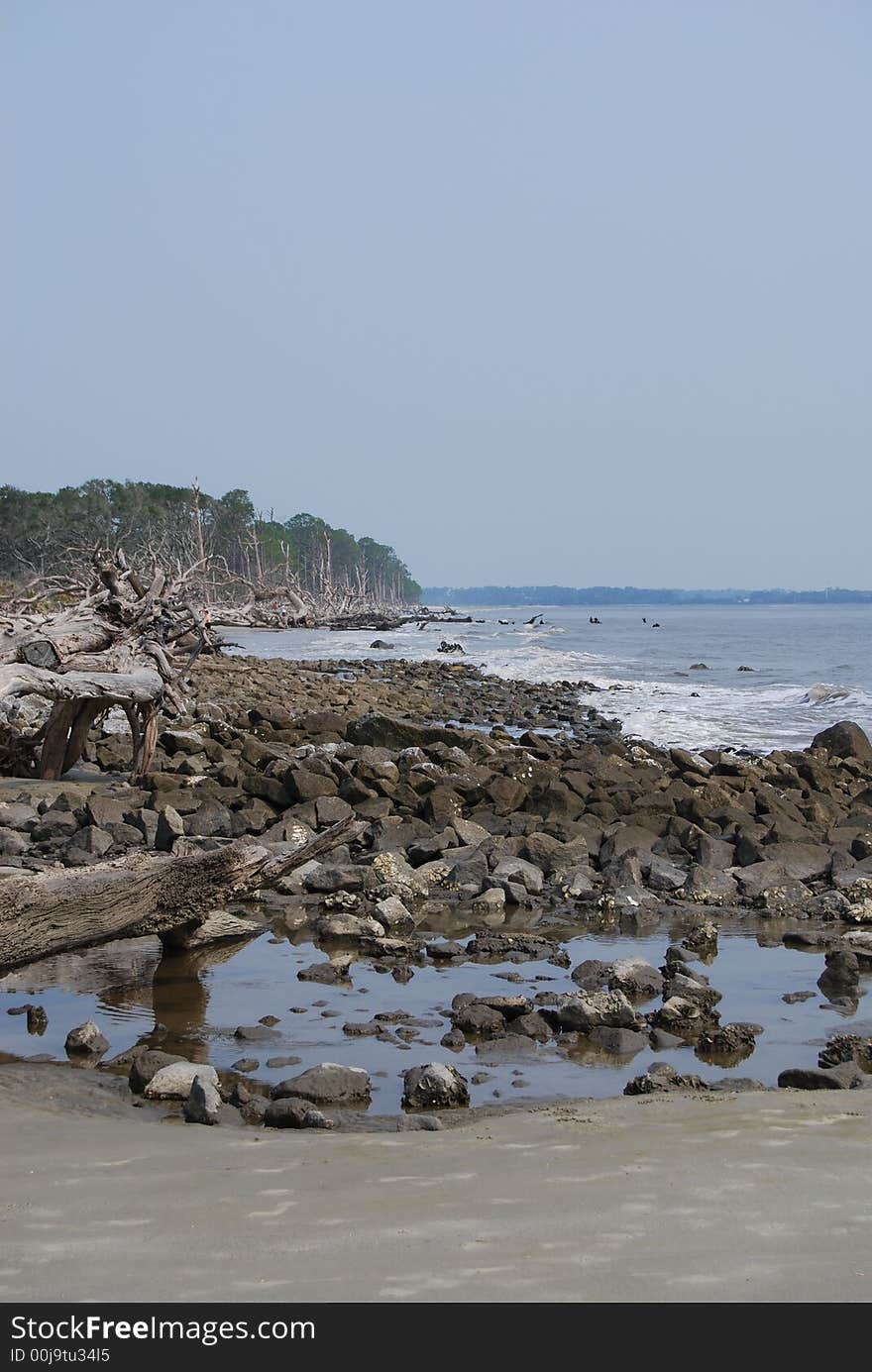 Beach with waves, rocks, trees, water. Beach with waves, rocks, trees, water