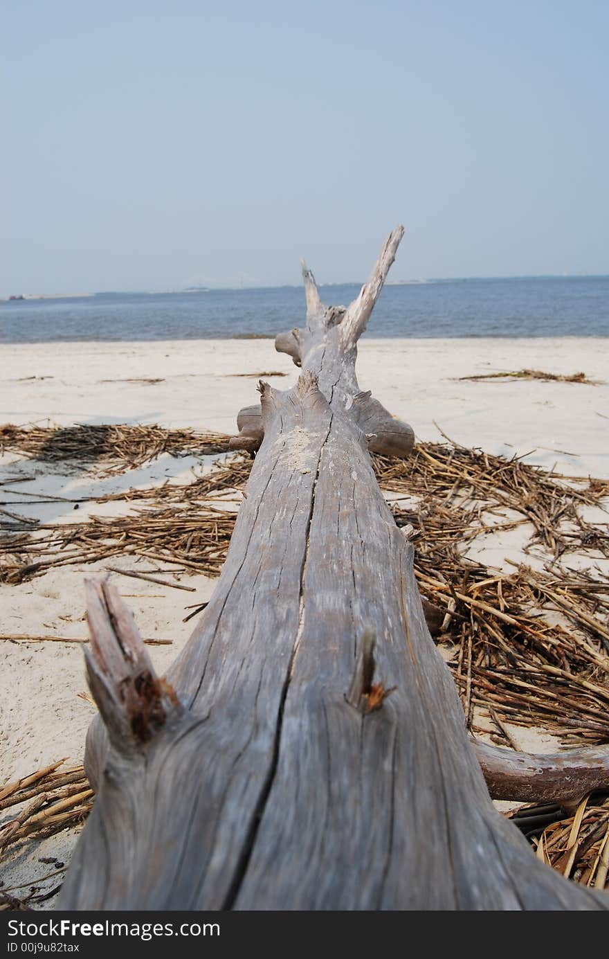 Wood log on the beach overlooking the ocean. Wood log on the beach overlooking the ocean