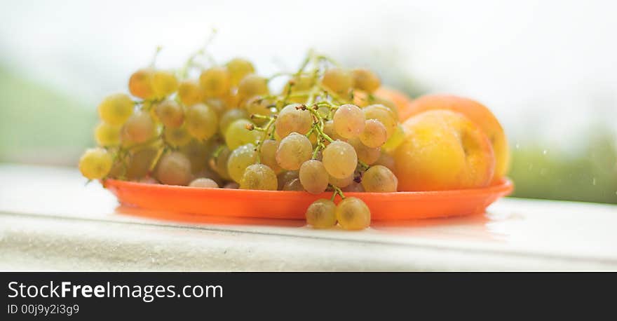 Vineyard Grape -  grapes on the plate in the rain