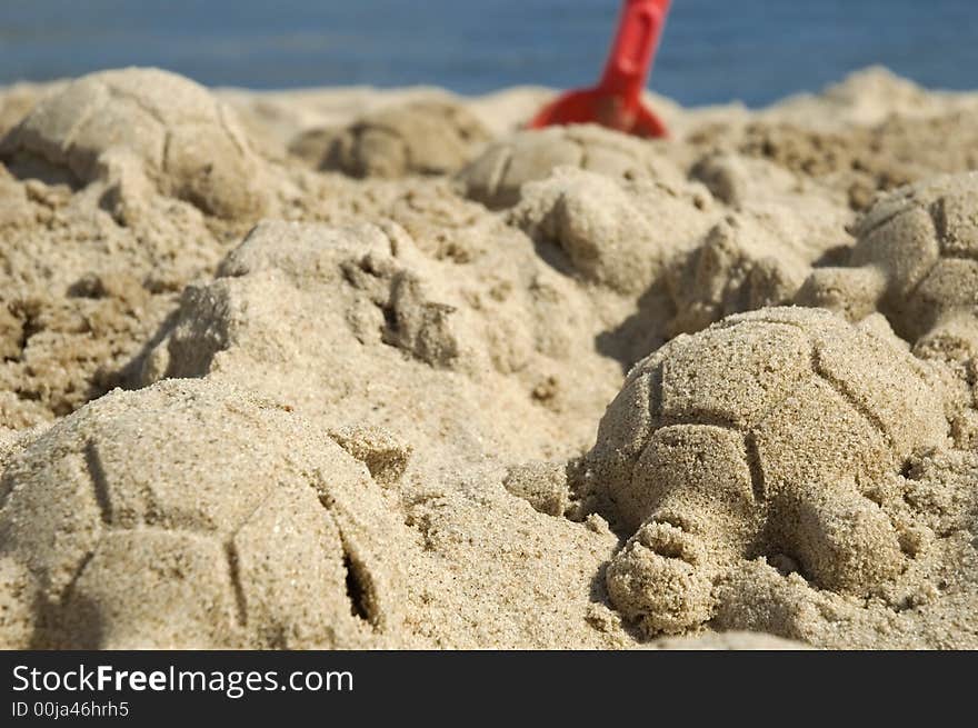 Sand turtles. summer and beach scenic. childhood