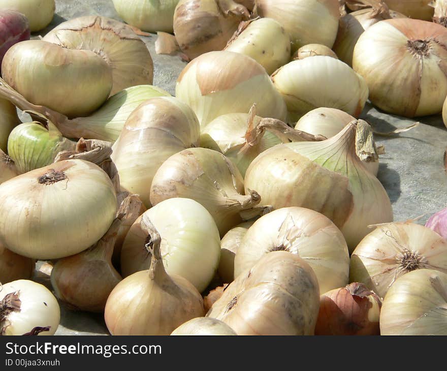 Beautiful onions on an oilcloth.