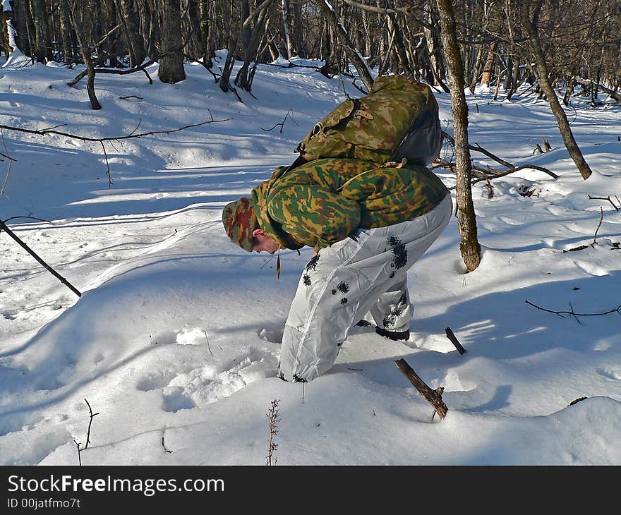 The scientist is on count of amure tiger in far-eastern taiga. Russian Far Easr, Primorye, nature state reserve Lazovsky. The scientist is on count of amure tiger in far-eastern taiga. Russian Far Easr, Primorye, nature state reserve Lazovsky.