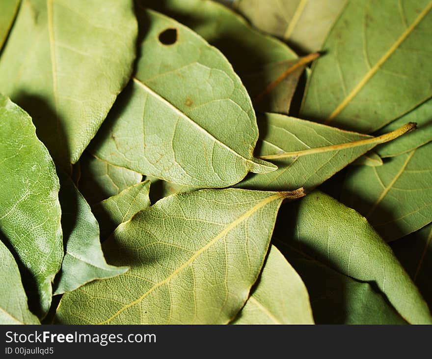 Macro bay leaves for kitchen