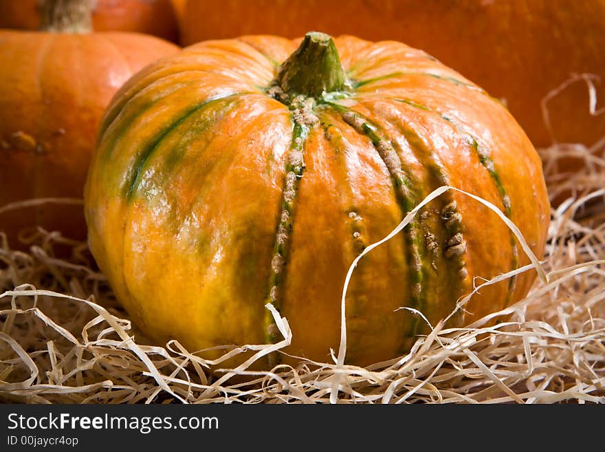 Yellow Pumpkin