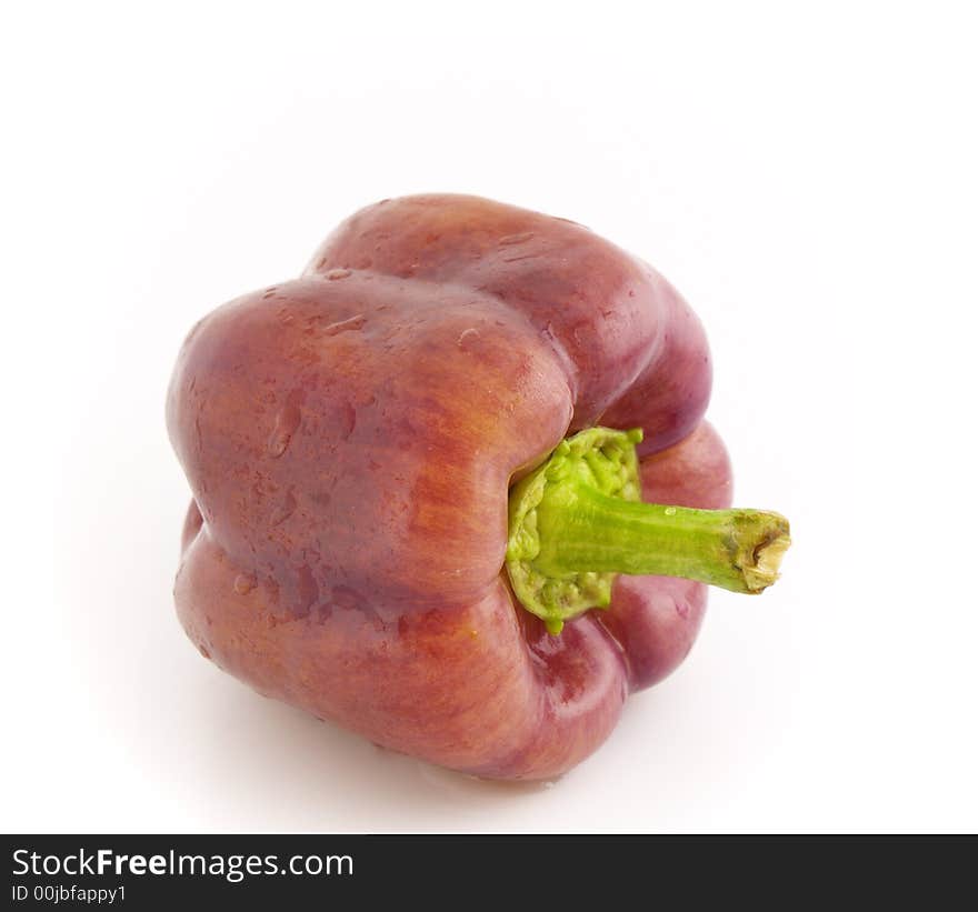 Violet pepper bell