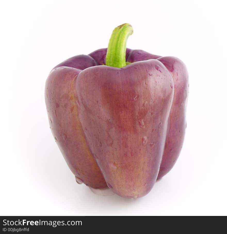 Violet pepper bell