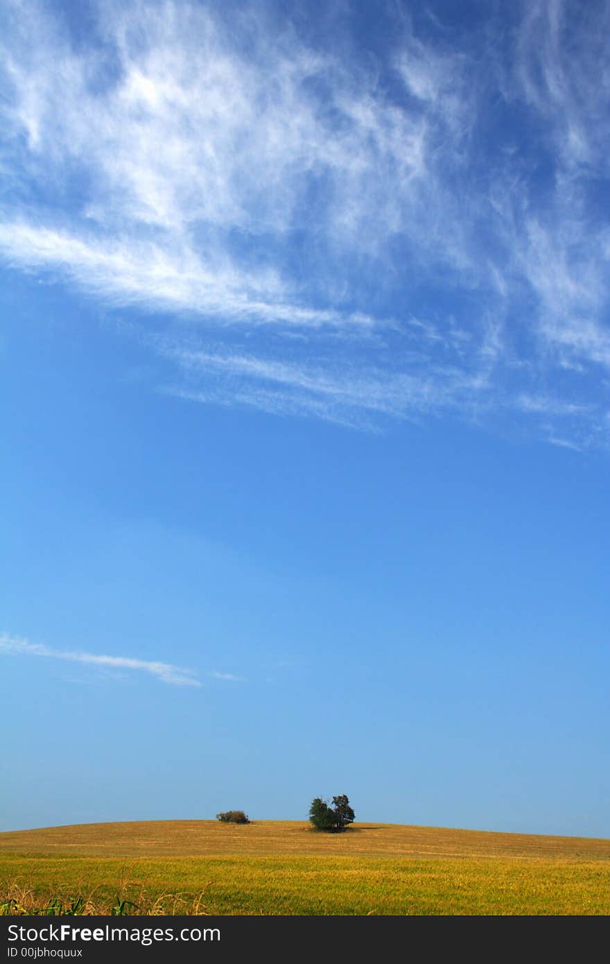 Late summer landscape with yellow fields and blue sky