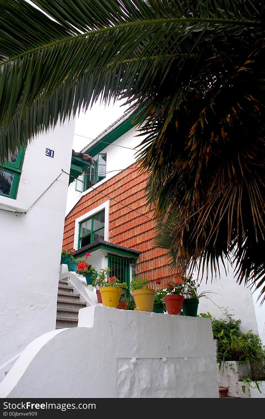 A white house in spain with flowers