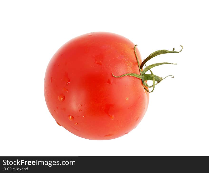 One tomato isolate on white background