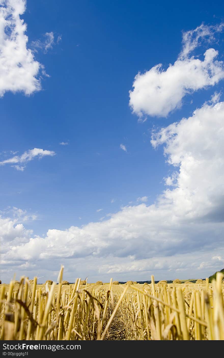 Cloud And Field