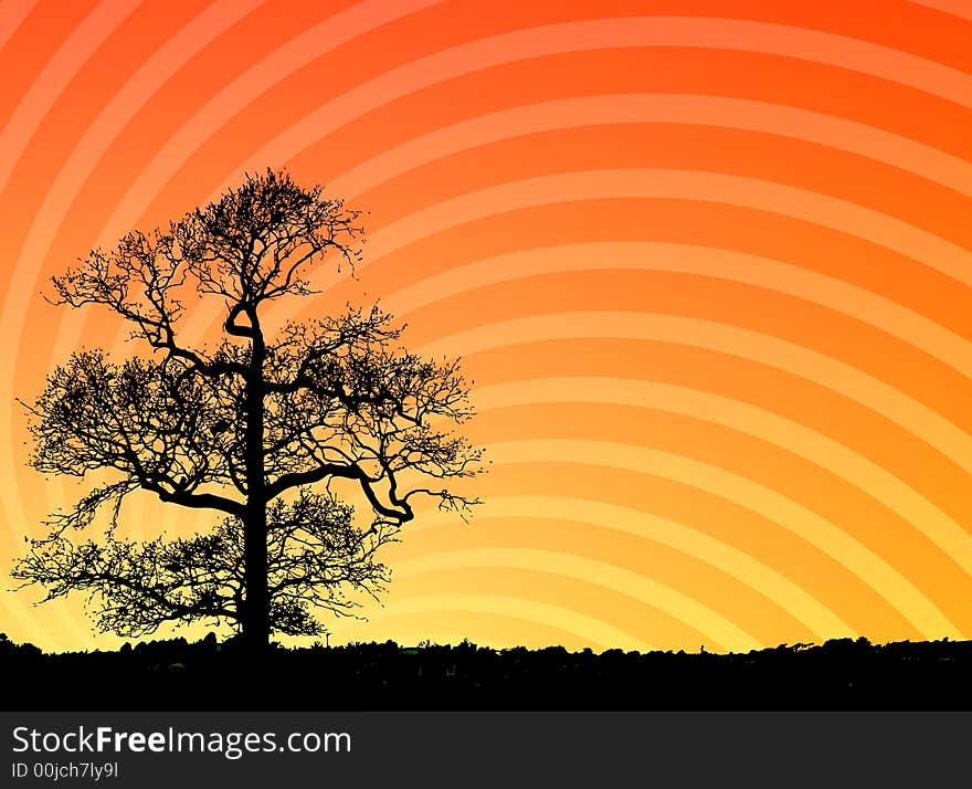 Silhouette of a tree at sunset. Illustration.