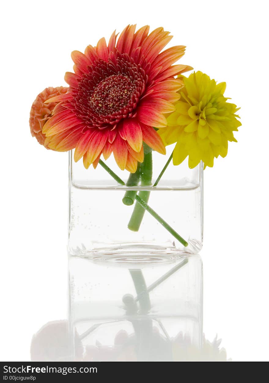 Colorful flowers in a glass over white background