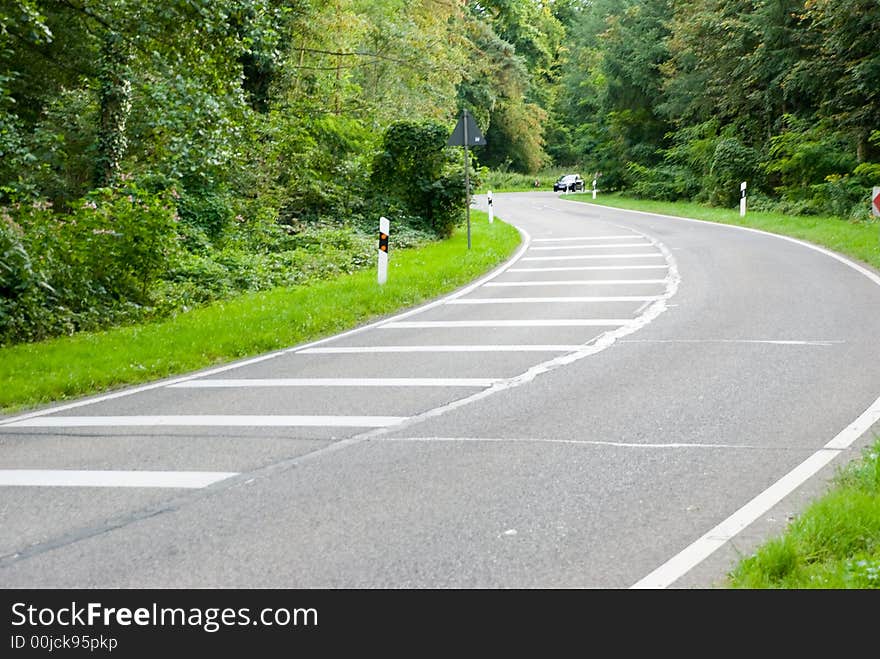 Forest Road In The Summer