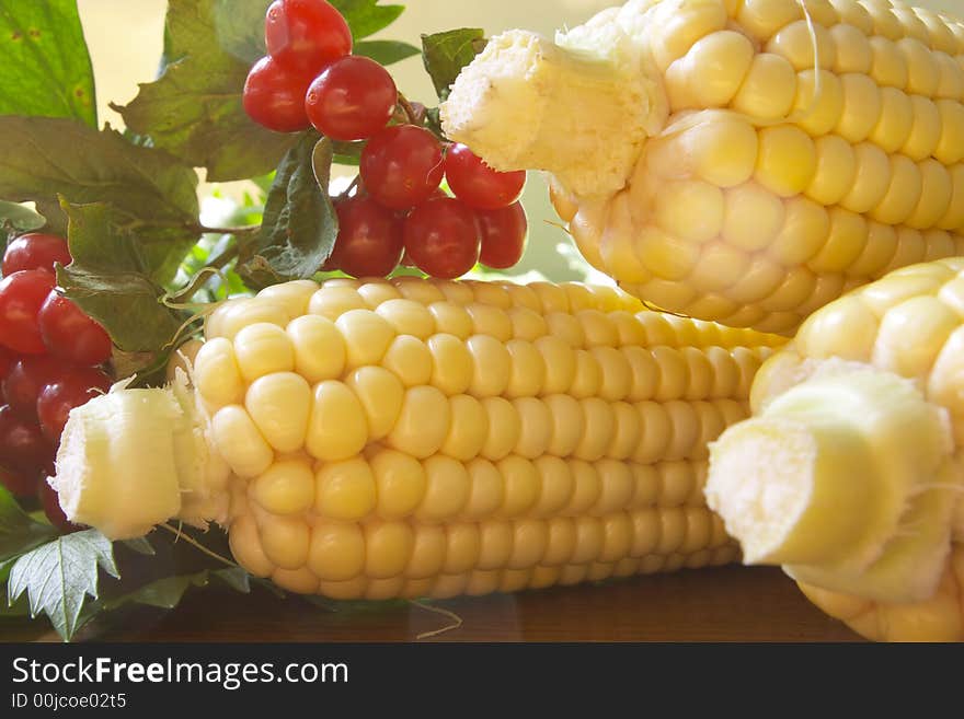 Fresh Corn