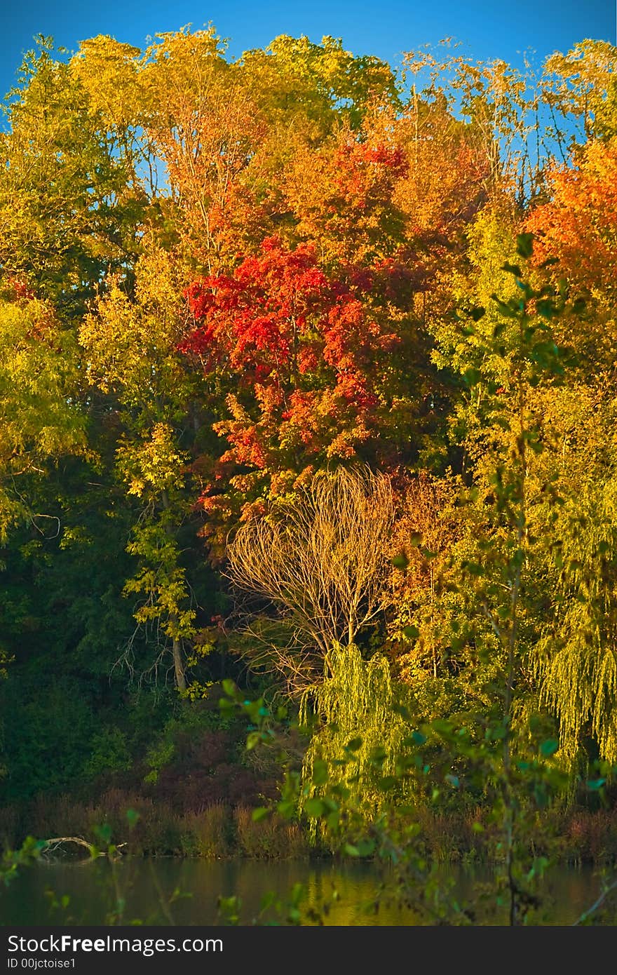 Vibrant rich colors in the early autumn air. Vibrant rich colors in the early autumn air