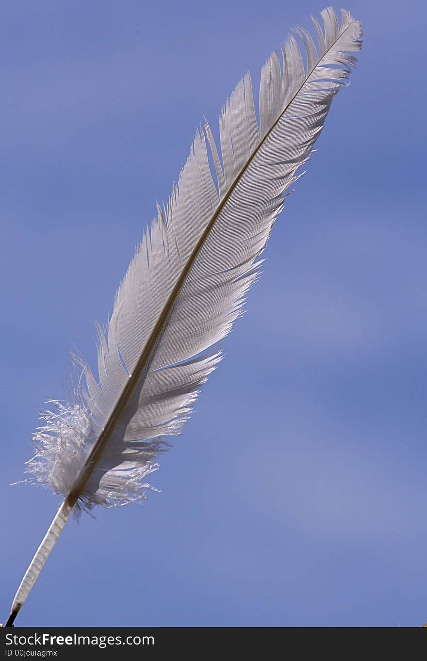 White feather over a blue sky background