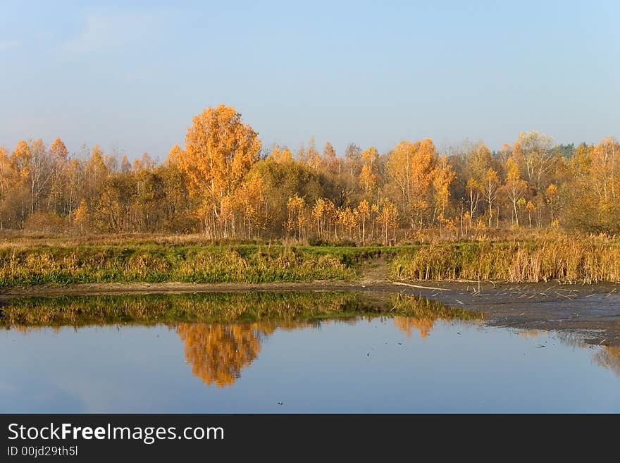 Golden autumn forest on the river bank