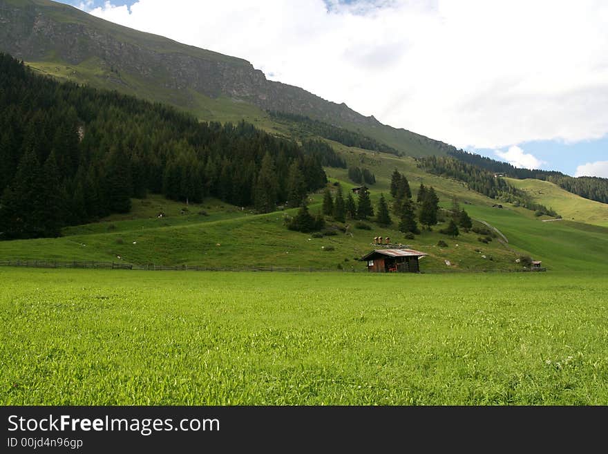 Mountain landscape