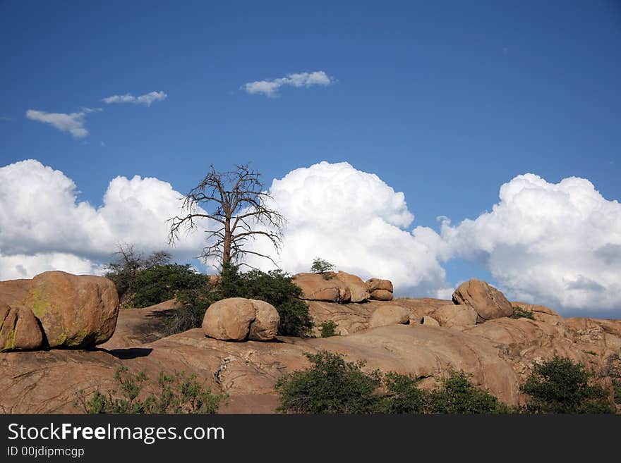 Shot from atop a unique granite formation in Arizona.  Here and there a lone tree that tried to make it's home in between the rocks. Shot from atop a unique granite formation in Arizona.  Here and there a lone tree that tried to make it's home in between the rocks