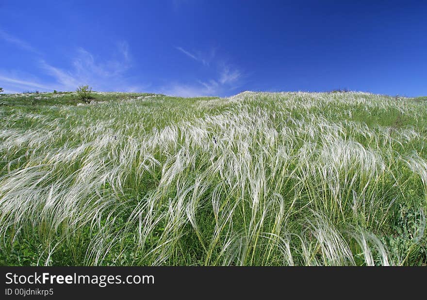 Summer landscape on the blu sky background