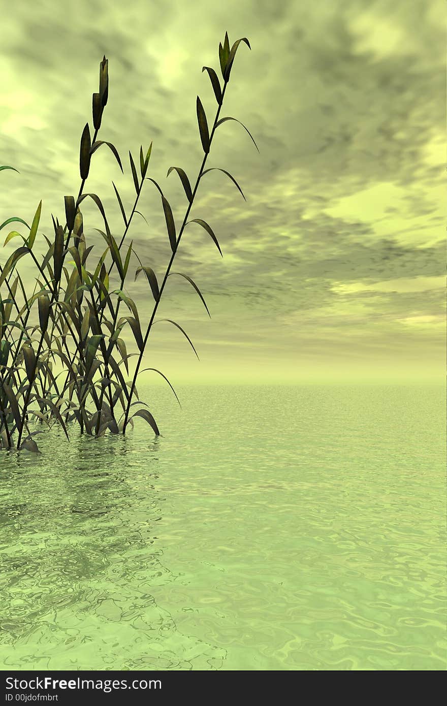 Water plants on a sea sunset background - 3D scene. Water plants on a sea sunset background - 3D scene.