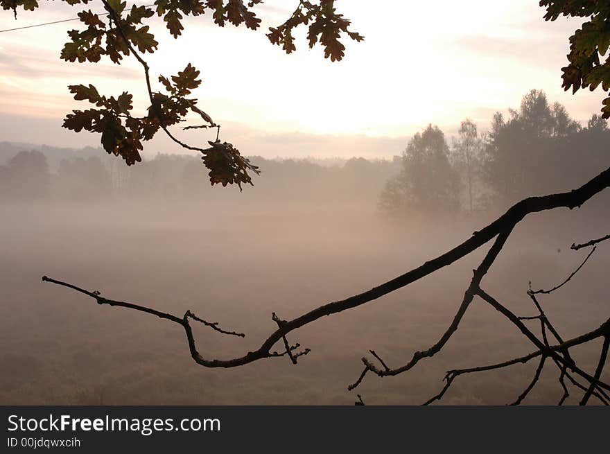 Fog in the Czech Republic. Fog in the Czech Republic