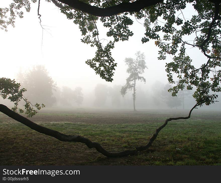 Fog in the Czech Republic. Fog in the Czech Republic