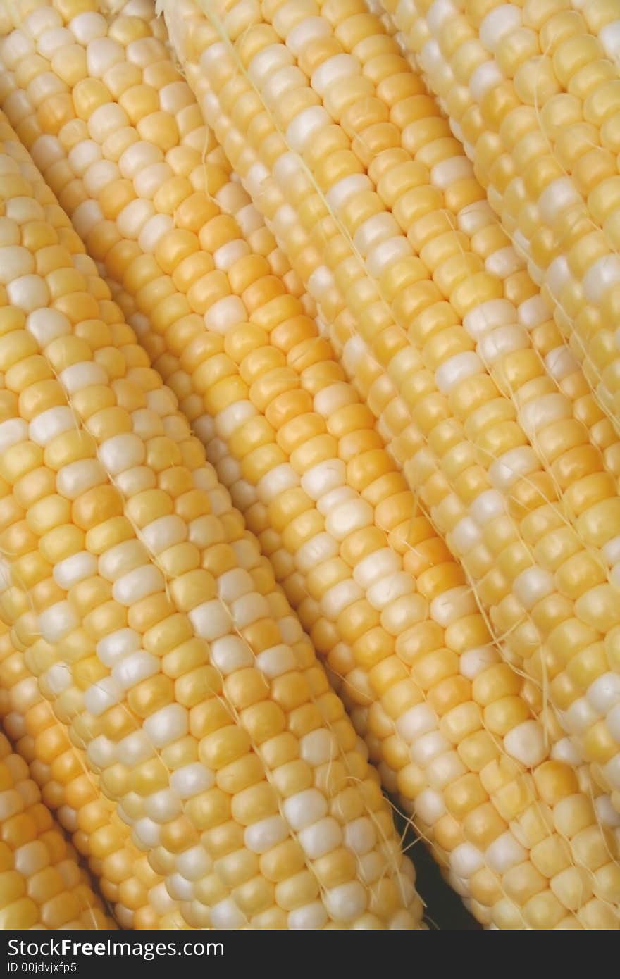 Ears of Sweet Corn Lie Side by Side in an Abstract Composition.