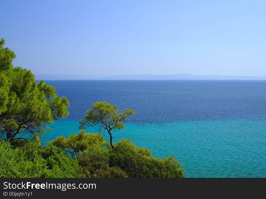 Trees and sea