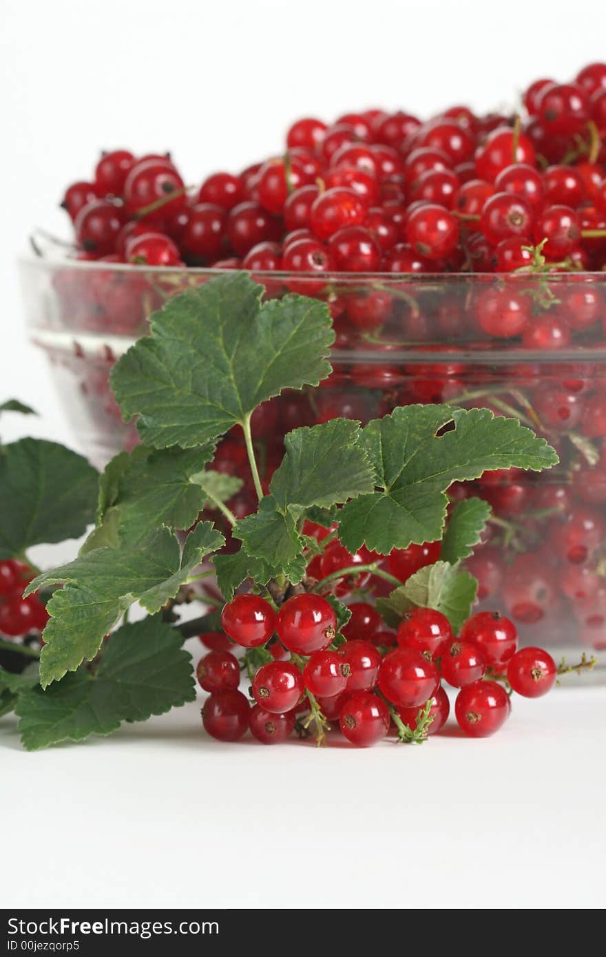 Fresh currant