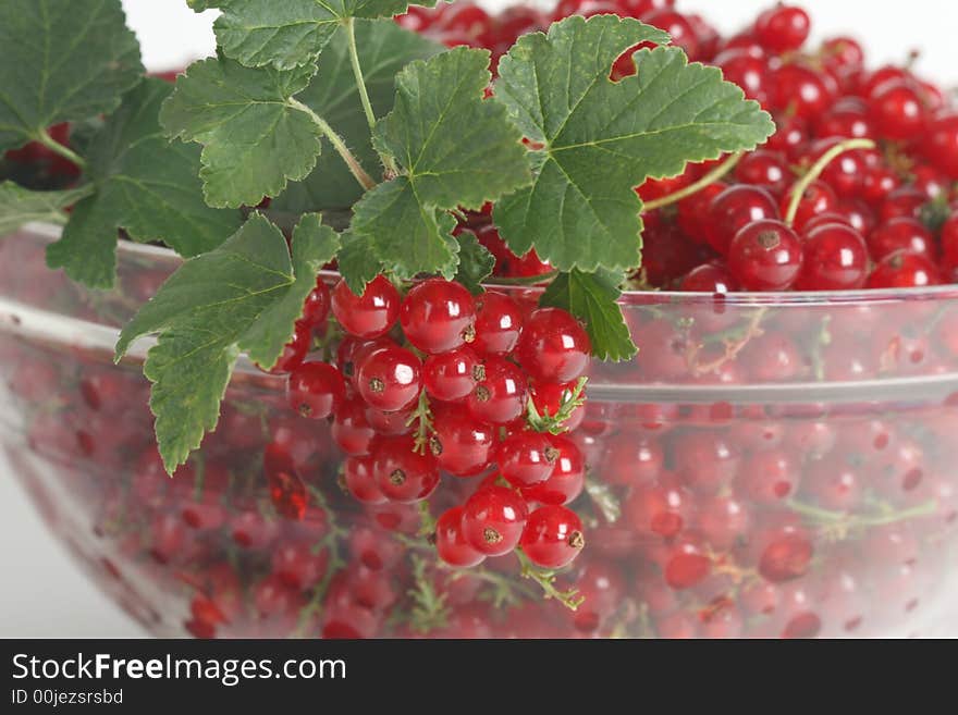 Fresh currant