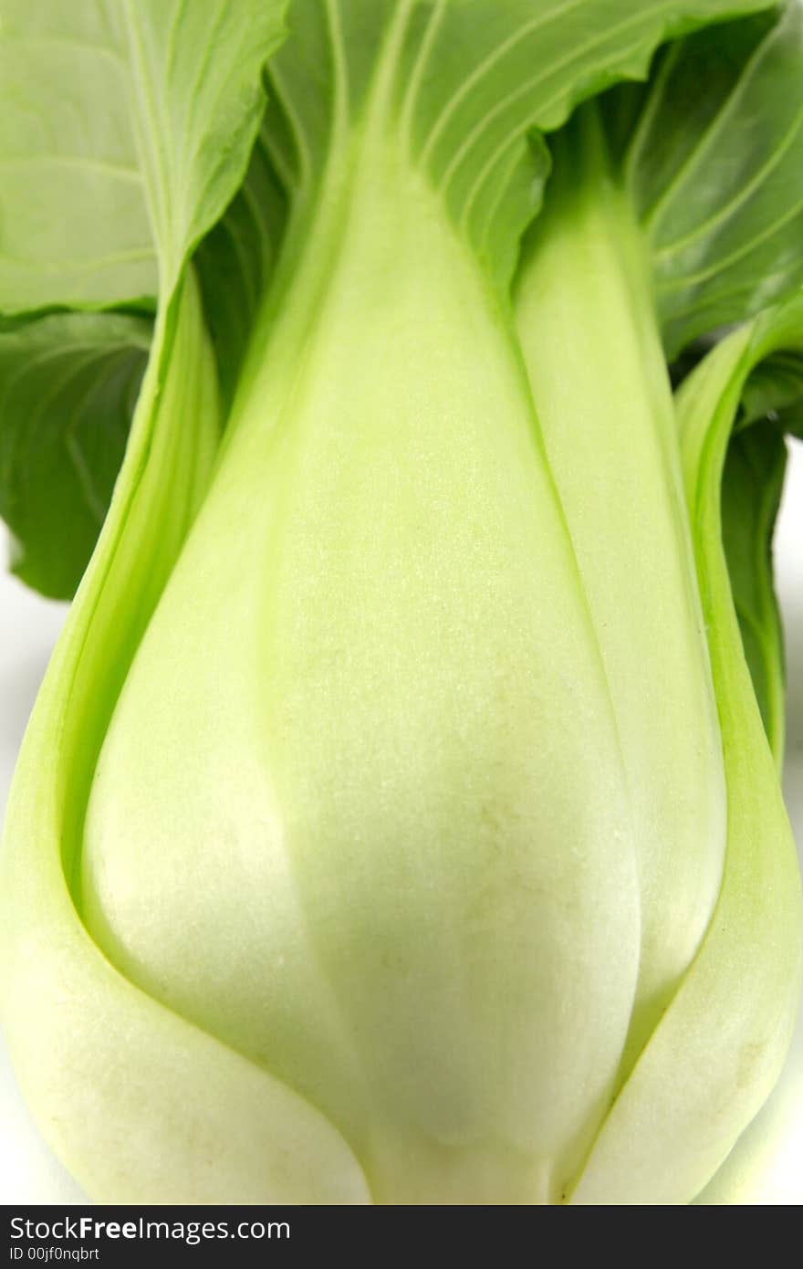 Chinese cabbage (bok choy), isolated on white background.