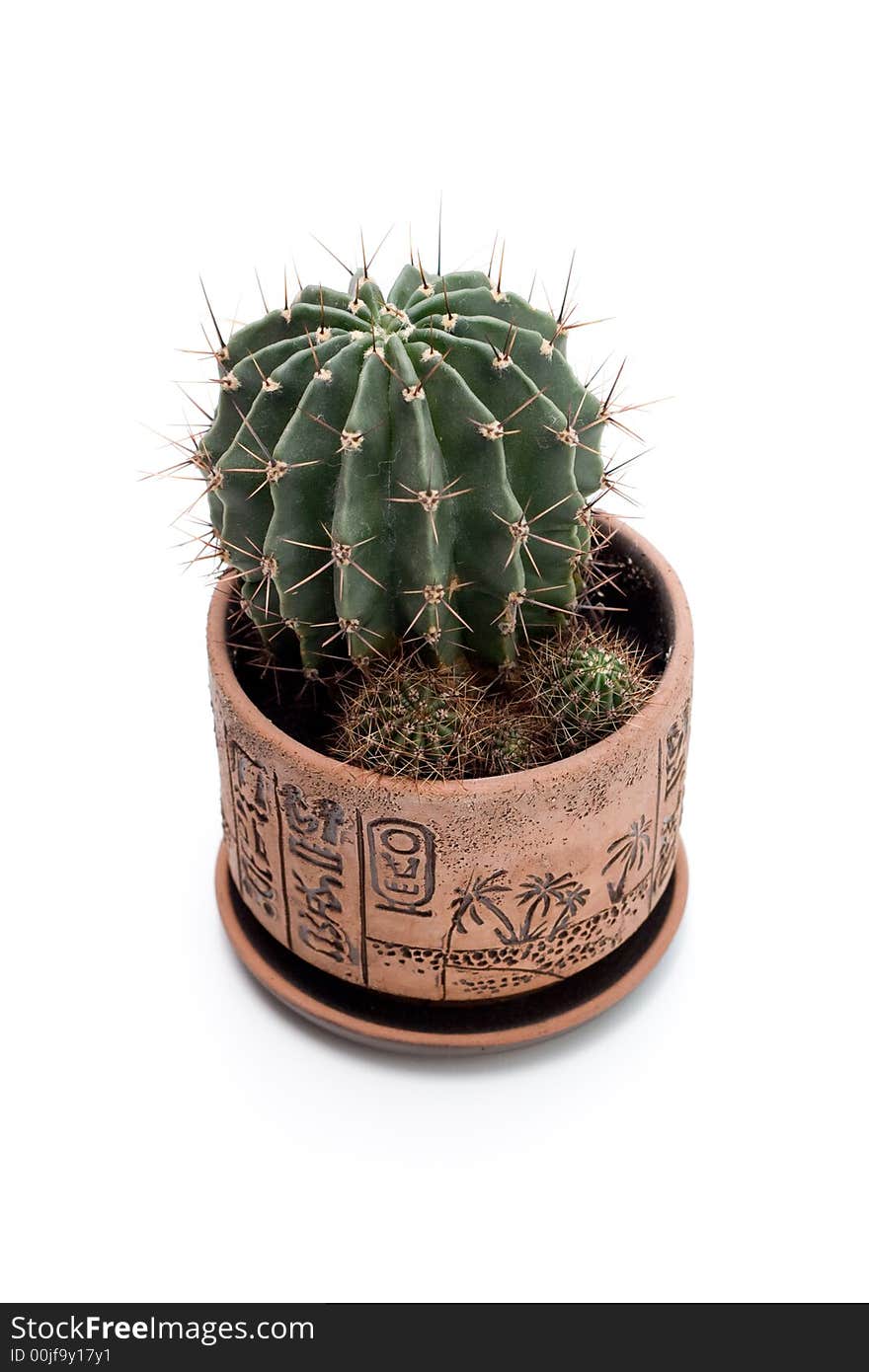 Ð¡actus in egyptian style pot isolated. Ð¡actus in egyptian style pot isolated