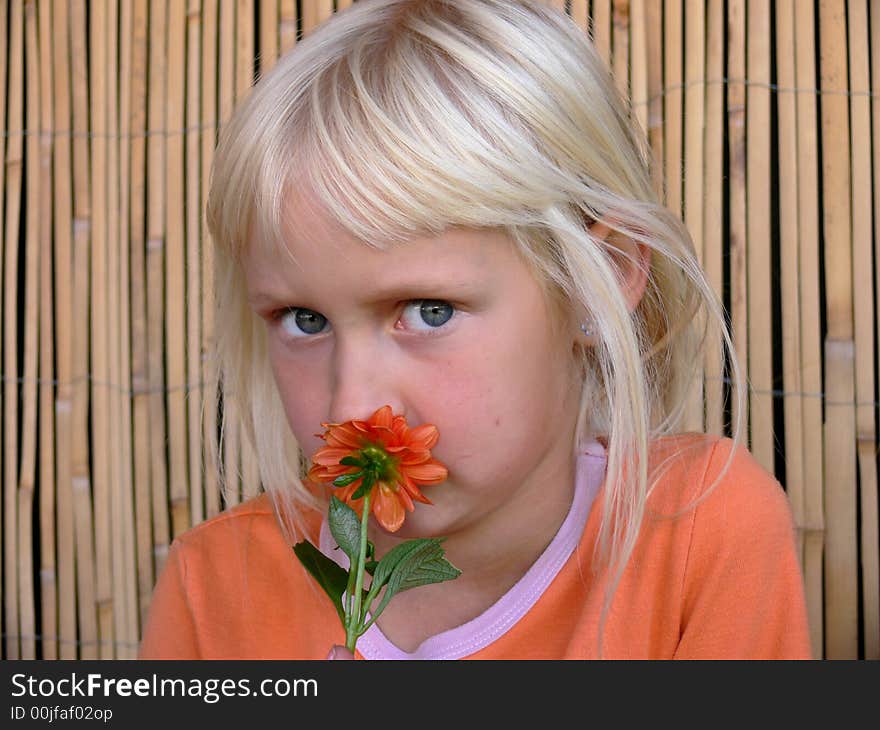 The girl smelling a flower. The girl smelling a flower.