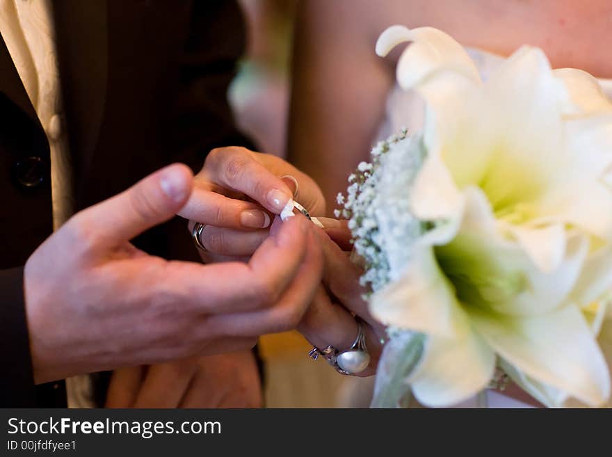 While the wedding - Closeup of hands, putting the rings to the other hand. While the wedding - Closeup of hands, putting the rings to the other hand.