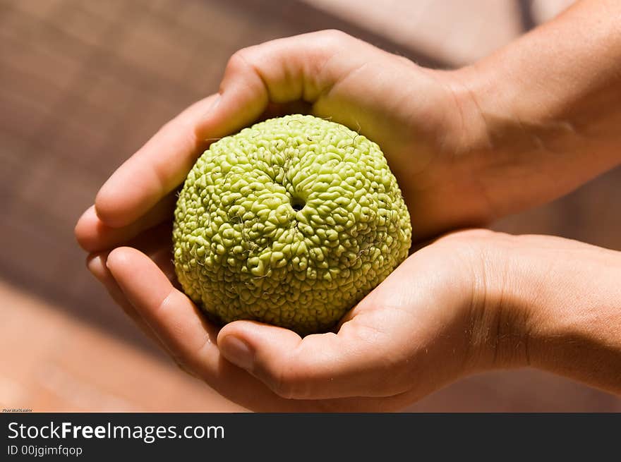 Fresh Fruit In Hands