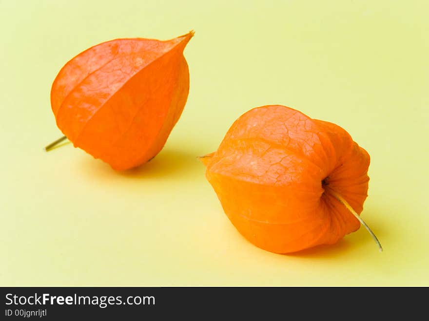 Two physalis on yellow background.