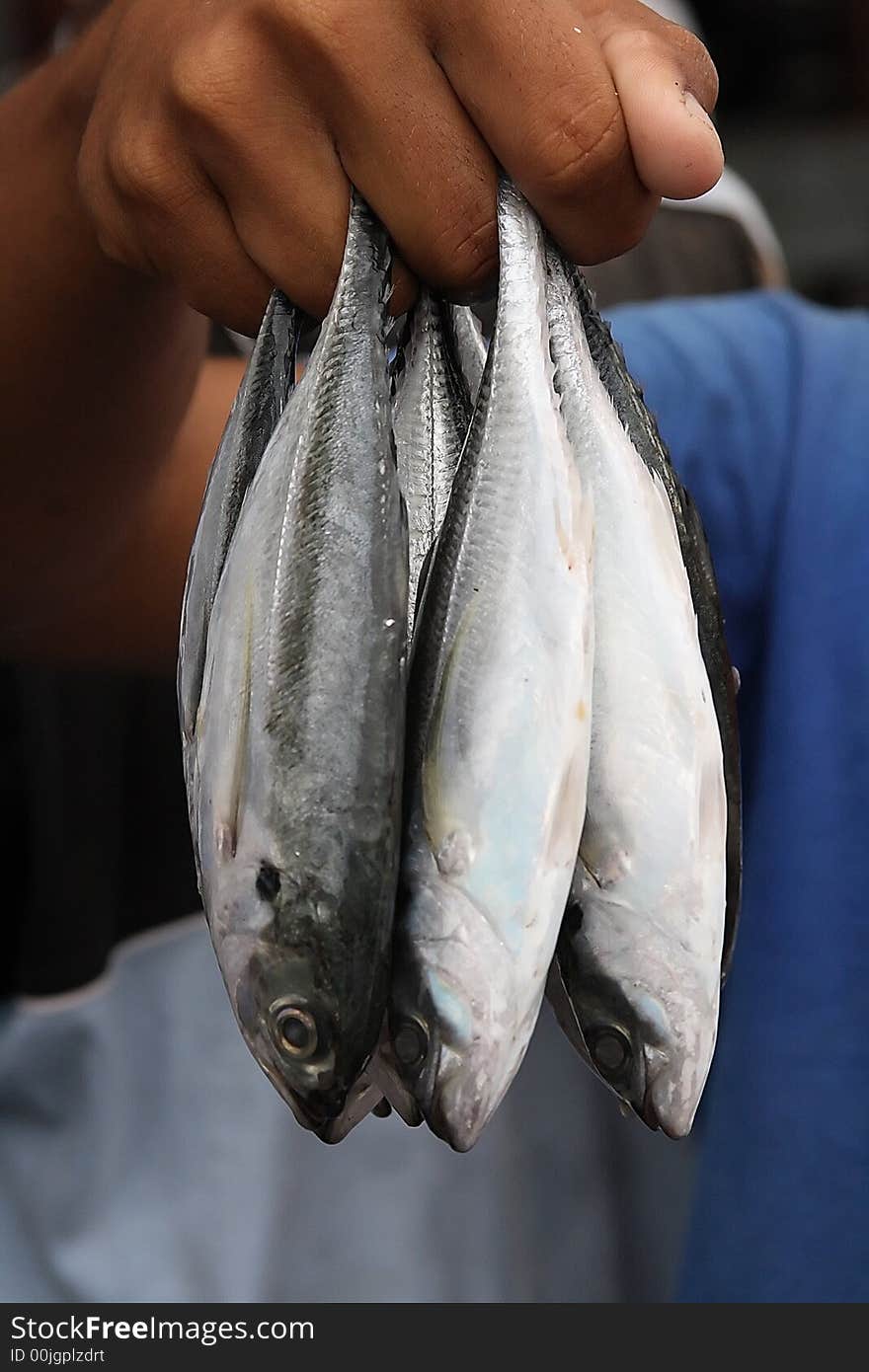 Close up of a man hold a few fishes.