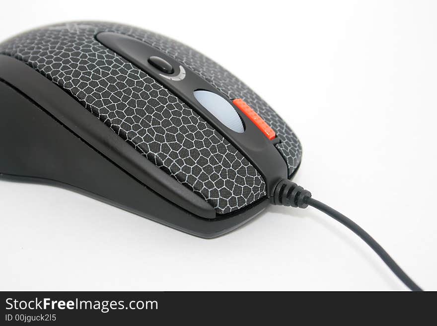 Mouse on a white background. Mouse on a white background